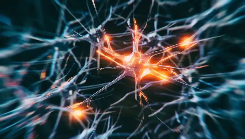 Alzheimer Vakaları Neden Artıyor? Tıbbi Araştırmalar ve Çözüm Yolları