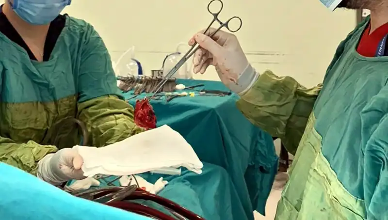 Kalp Kapağı Çürümesi: 7 Saatlik Ameliyat ve Mucizevi Sonuçlar