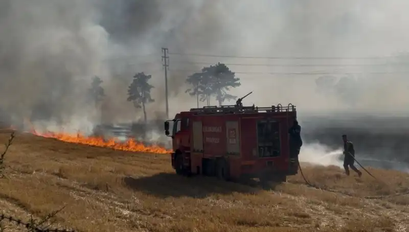 Kırklareli'nde Anız Yangını Panik Yarattı: Tüm Detaylar Burada!