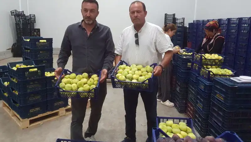 Mersinli Çiftçinin Yüzünü Güldüren 20 TL’lik İhraç Fırsatı