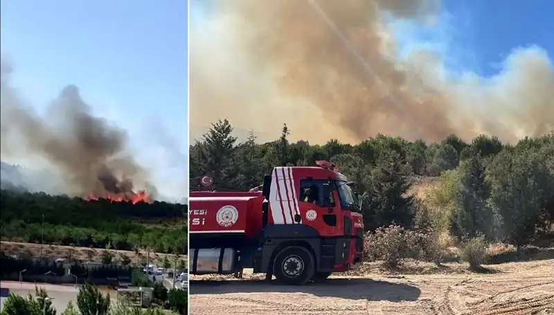 Gebze'de Orman Yangını: Doğa Felaketi ve Mücadele Süreci