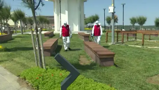Kene Popülasyonu Arttı: Halka Açık Alanlarda İlaçlama Önlemleri Alınıyor