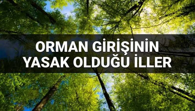Orman Girişine Yasaklanan İller: 2025’te Hangi Bölgeler Kapsamda?