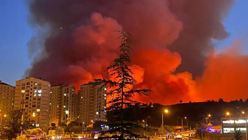 Bursa'da Yangınlar Şehri Sarmaladı: Nedenleri ve Son Durum