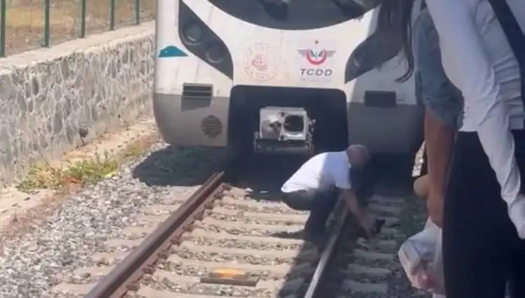 Bir Kediyi Kurtamak İçin Marmaray'ı Durduran Makinist: Hayvanseverlikte Örnek Davranış