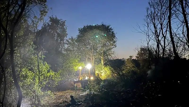 Edirne'de Büyük Tehlike: Orman Yangını Kontrol Altına Alındı