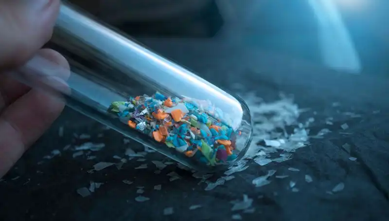 Mikroplastikler İnsan Beynine Ulaşmanın Tehlikelerini Ortaya Çıkardı