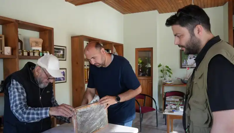 Bitkisel Şifanın Sınırları: Hem Şifa Hem Zehir Olan Mucize Karışım