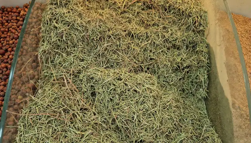 Yaz Aylarında Artan Tehlike: Ölüme Kadar Götüren Ürünler İnternette Satışta!