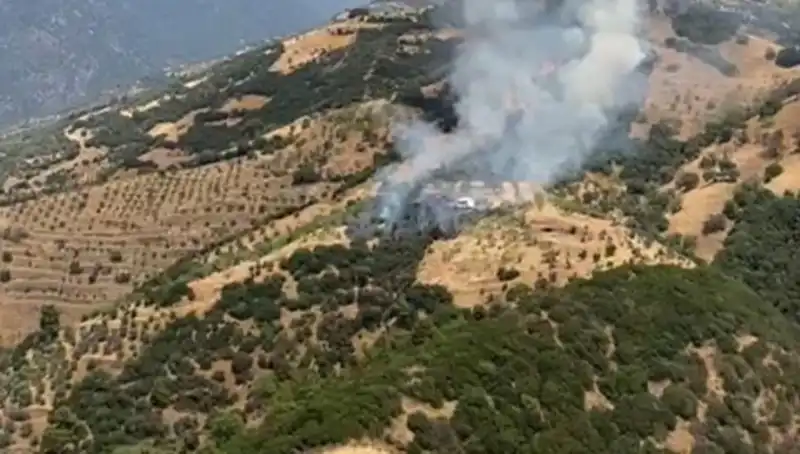 Aydın'da Korkutan Zeytinlik Yangını: Tarım Alanları Tehdit Altında