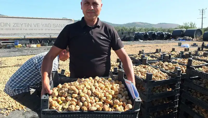 Balıkesir'in Lezzetli Hasadı: Çin ve Rusya Pazarına Açılıyor