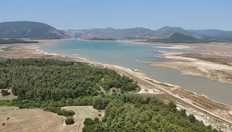 İzmir'de Ekonomik Kriz Alarmı: Yüzde 50'lik Düşüş Neyi Gösteriyor?